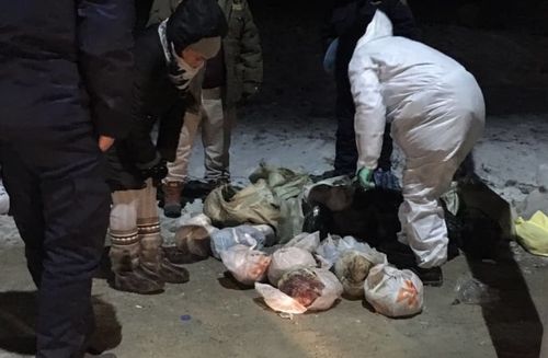 Олон тоогоор агнасан үнэг, тарвага тээвэрлэж явсныг илрүүлжээ